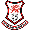 Saltney Town logo