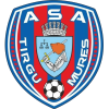 Targu Mures logo