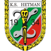 Hetman Zamosc logo