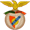Paulense logo