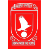 Llanrug logo
