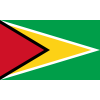Guyana W logo