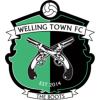 Welling Town логотип