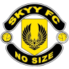 Skyy логотип