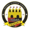 Tervarit logo